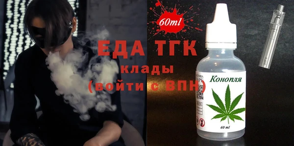 индика Протвино