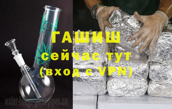 индика Протвино