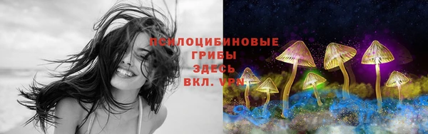 индика Протвино