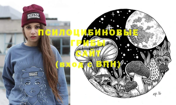 индика Протвино