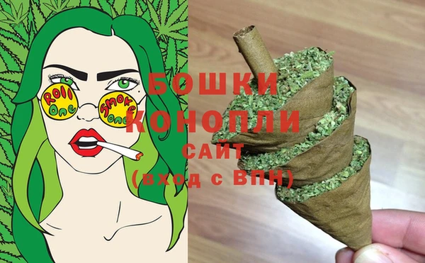 гидра Пролетарск