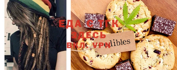 индика Протвино