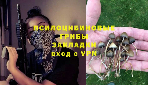 гидра Пролетарск