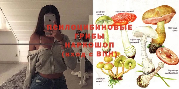 гидра Пролетарск