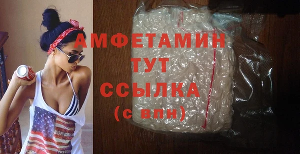 индика Протвино