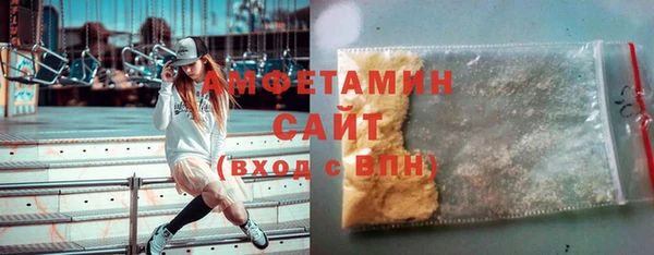индика Протвино