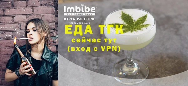 индика Протвино