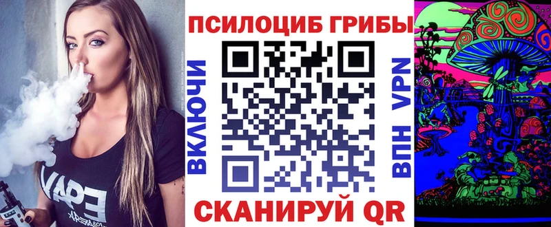 где купить наркотик  Артёмовск  omg сайт  Псилоцибиновые грибы ЛСД 